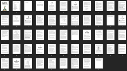 Prioritize Your Life