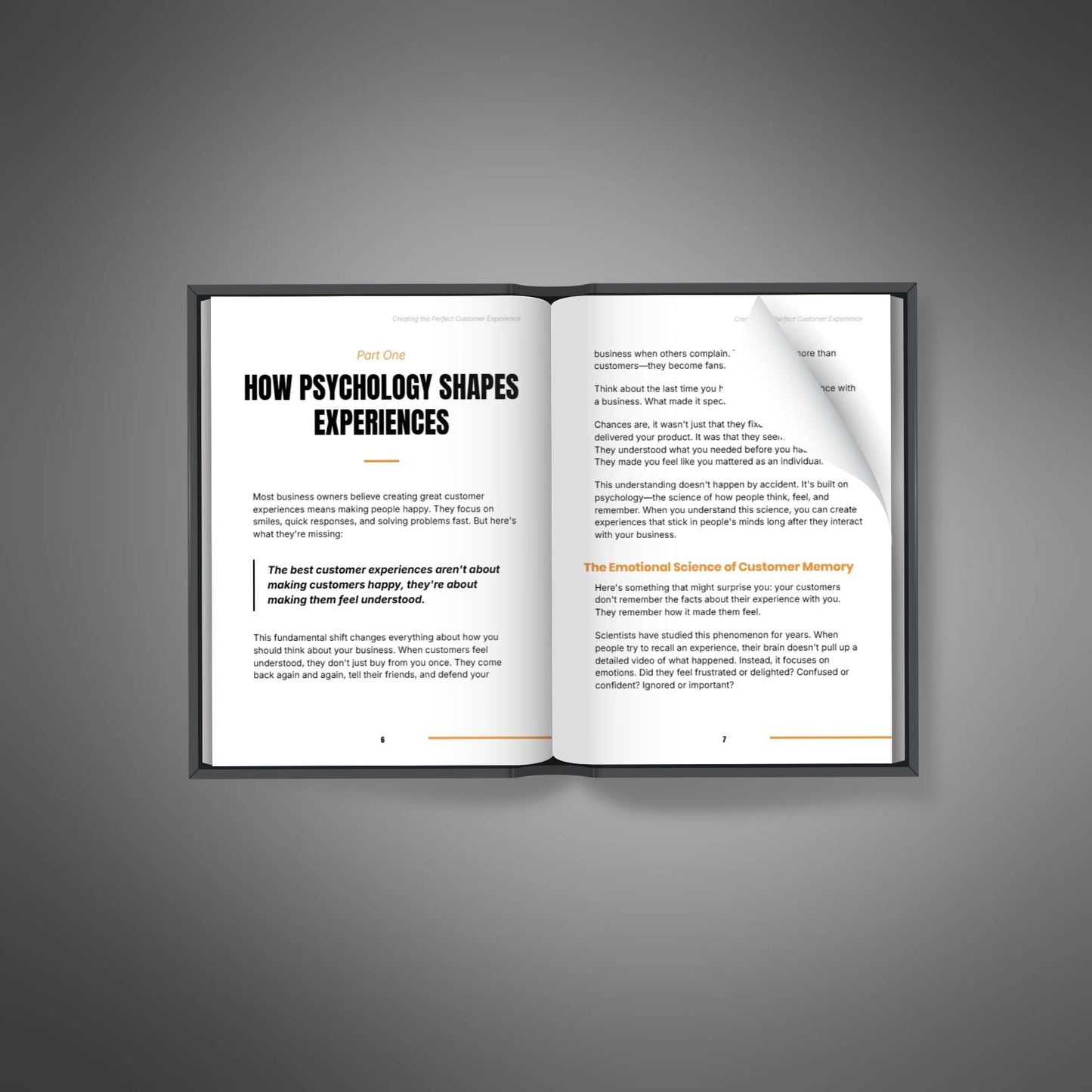 Creating the Perfect Customer Experience
