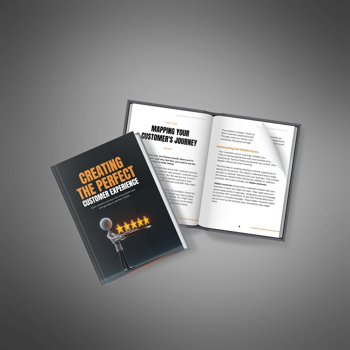 Creating the Perfect Customer Experience