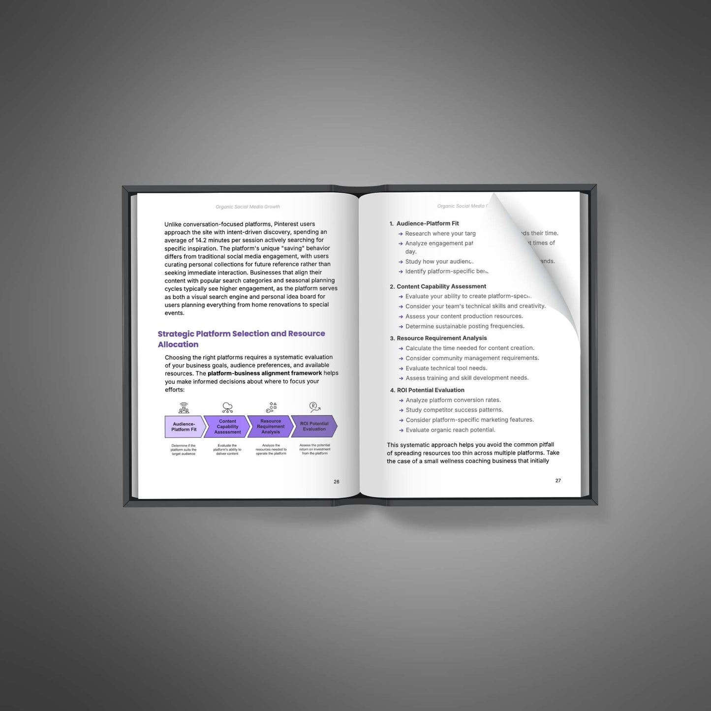 Organic Social Media Growth