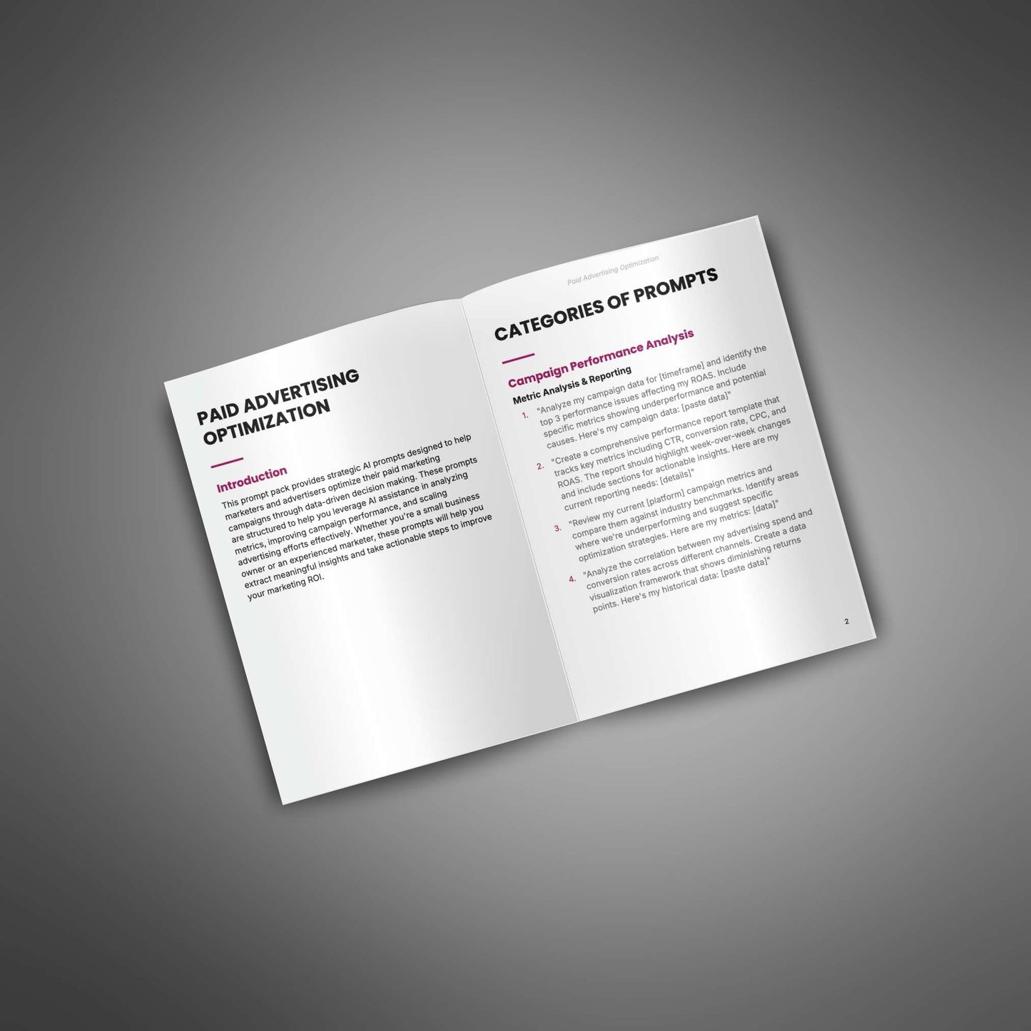 Optimalisatie van betaalde advertenties