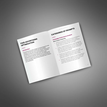 Optimalisatie van betaalde advertenties