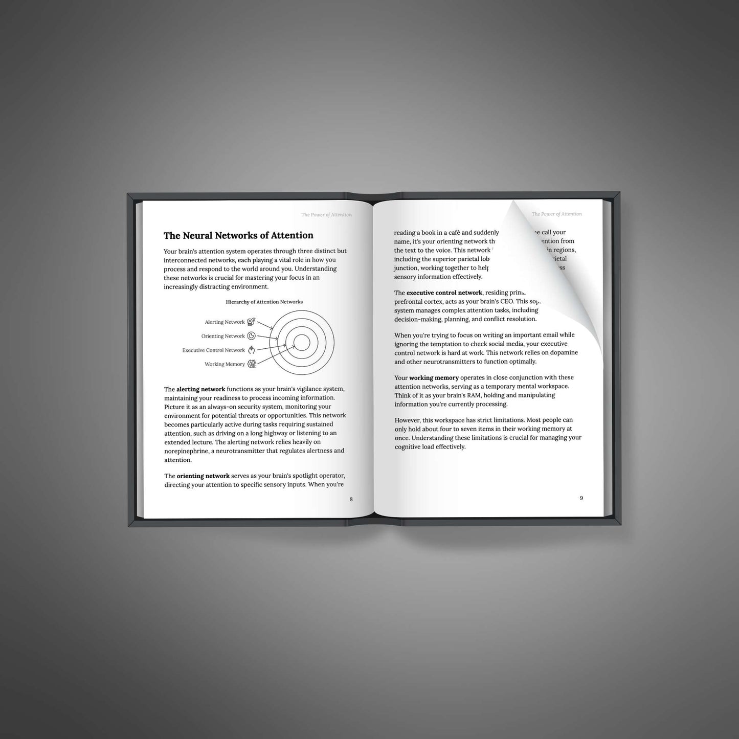 The Power of Attention