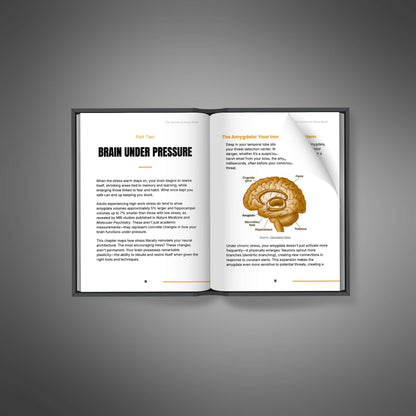 The Science of Stress Relief