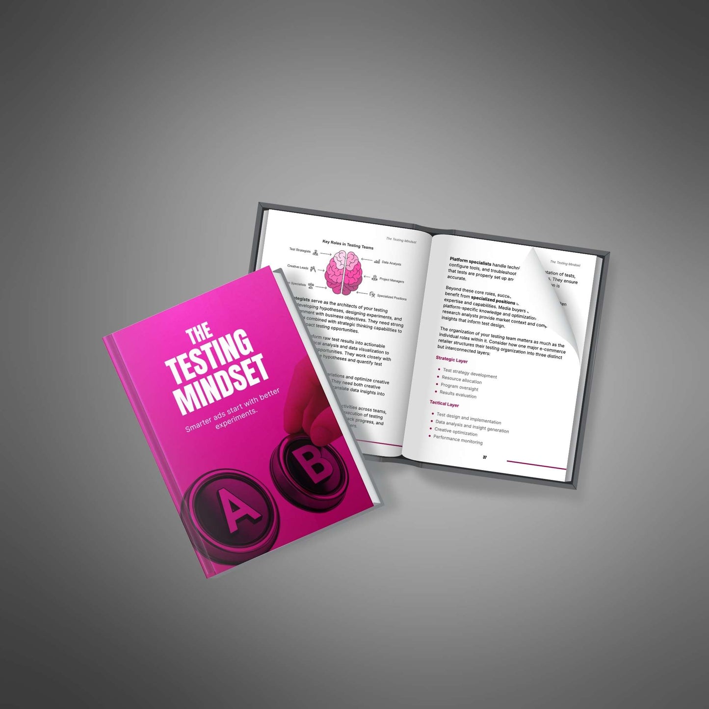 The Testing Mindset