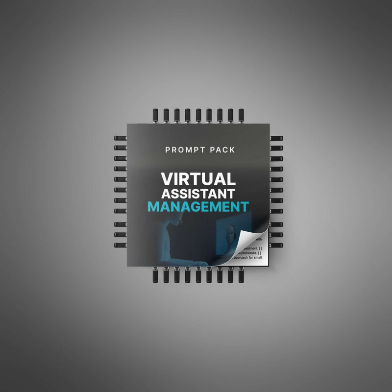 The Virtual Assistant Management